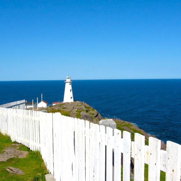 Meet your Posher, Denise - Picture 4 of 4